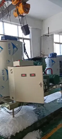 Máquina de hielo en escamas inteligente con ahorro de energía y larga garantía de alta calidad Lier (300kg/24h